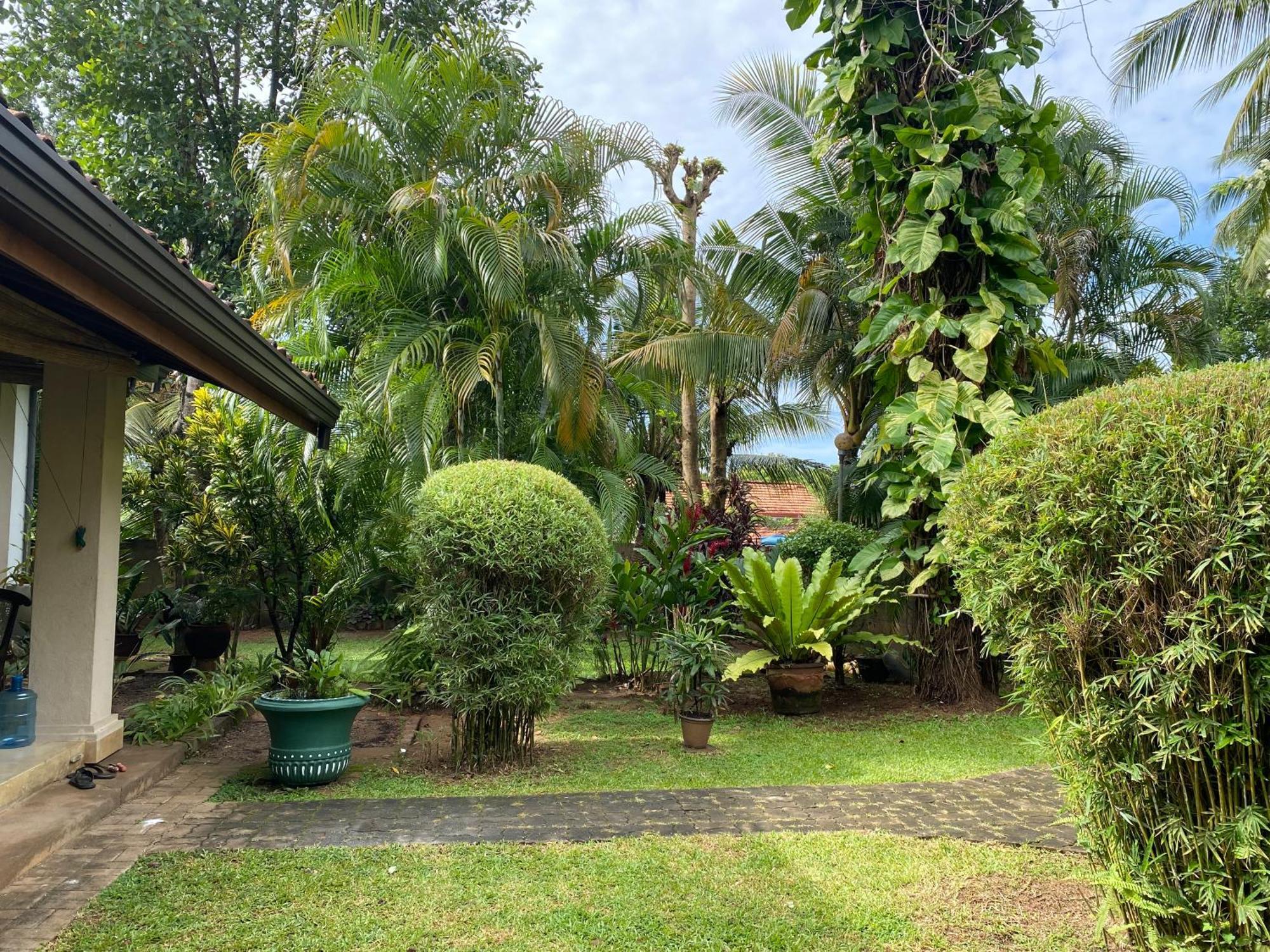 Tangalle Green House Exterior foto