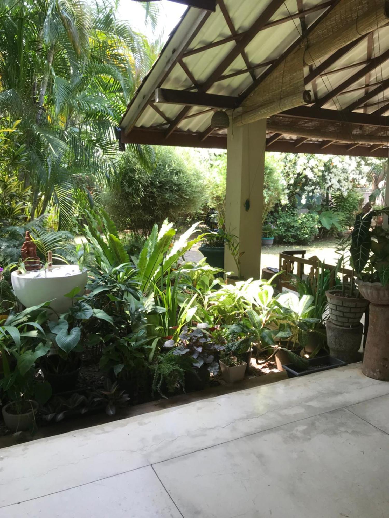 Tangalle Green House Exterior foto